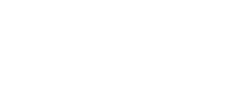 Viva Plus